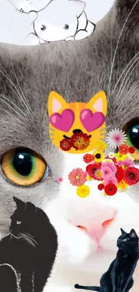 Nose Cat Vertebrate Live Wallpaper