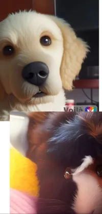 Nose Dog Dog Breed Live Wallpaper