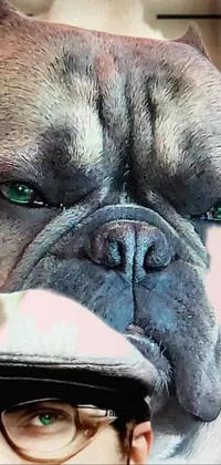 Nose Dog Photograph Live Wallpaper