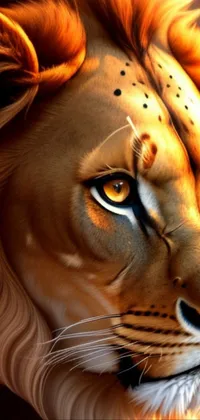 Nose Eye Bengal Tiger Live Wallpaper