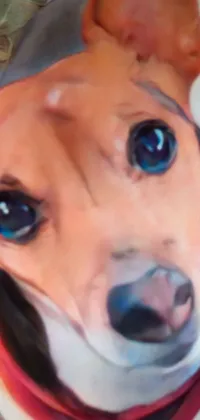 Nose Eye Dog Live Wallpaper