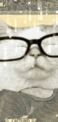 Nose Glasses Eyebrow Live Wallpaper