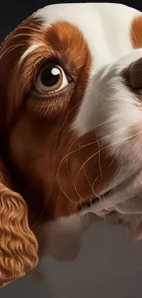 Nose Head Dog Live Wallpaper