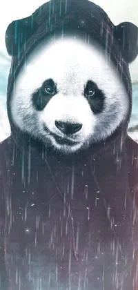 Nose Head Panda Live Wallpaper