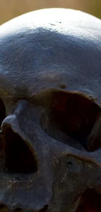 sskul Live Wallpaper