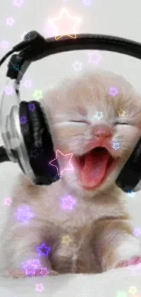 Looking for a trendy phone wallpaper that'll put a smile on your face? Check out this cool Tumblr-style wallpaper featuring a cute cat wearing headphones! This close-up image is full of fun graphics and icons, including tiny stars and bright, cheerful emojis, creating a happy atmosphere that's sure to brighten up your phone's screen
