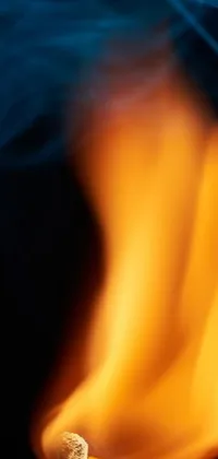 This stunning live wallpaper features a close-up shot of a lit match on a black background