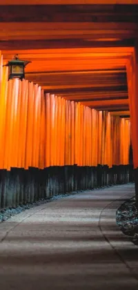 This live wallpaper showcases a tunnel of orange tori in the traditional Japanese style