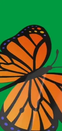 This phone live wallpaper featuring a close-up view of a butterfly perched on a green stem is a delight for nature lovers