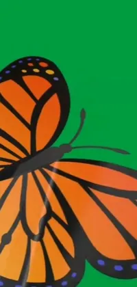This is a vibrant and eye-catching phone live wallpaper featuring a digitally rendered close-up of an orange butterfly