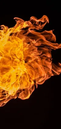 This phone live wallpaper features a close-up view of a fiery bird rising from a blazing fireball on a black background