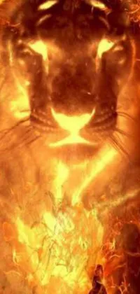 This stunning phone live wallpaper features a close-up of a powerful, regal-looking cat on a fiery background