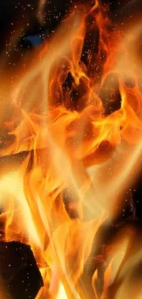 Experience the fiery intensity of this phone live wallpaper featuring a close-up of blazing flames set against a black background