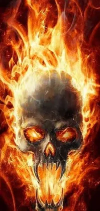 Download this striking phone live wallpaper featuring a fierce skull in crimson flames on a black backdrop