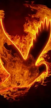 This fiery live wallpaper depicts a magnificent bird on your phone screen, with its wings ablaze and eyes fierce