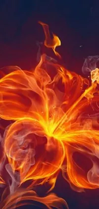 This live wallpaper depicts a vibrant digital art showcasing hibiscus flowers amidst a fiery background