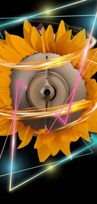 This live wallpaper features a close-up of a sunflower on a black background, ideal for showcasing the glowing instruments of a new phone model