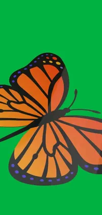 This live phone wallpaper is a stunning digital rendering of a close-up butterfly on a green gradient background