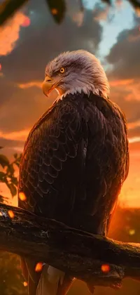 This phone live wallpaper features a captivating bald eagle perched on a tree branch