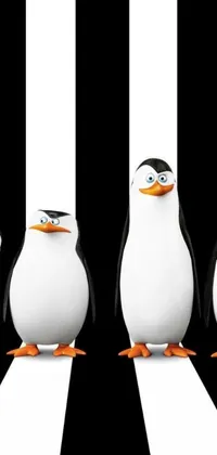 This live wallpaper features a group of cartoon penguins standing together, with a stylish and polished design