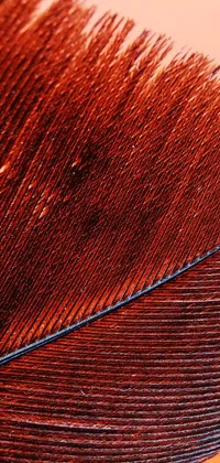 This wallpaper is a stunning macro art close-up of a feather sitting on a wooden table
