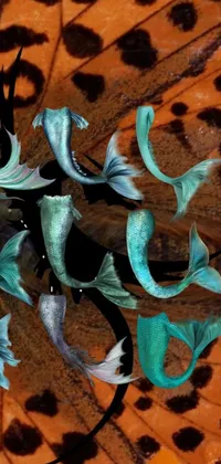 This phone wallpaper features a group of digitally crafted fish resting atop a butterfly wing