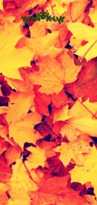 This phone live wallpaper features a collection of green and yellow leaves arranged naturally on top of each other, with hints of orange and brown
