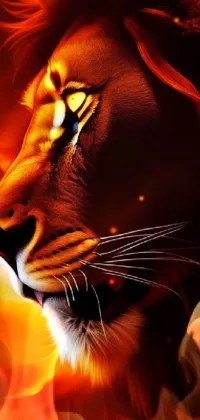Orange Carnivore Felidae Live Wallpaper