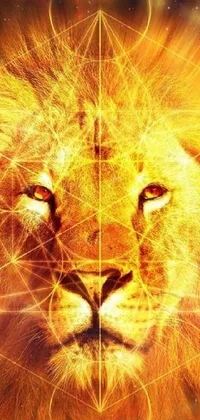 This phone live wallpaper features a striking close up of a lion's face surrounded by vibrant orange and yellow flames, conveying an overwhelming sense of power and strength