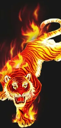 This mobile live wallpaper features an illustration of a fierce tiger engulfed in flames against a sleek black background