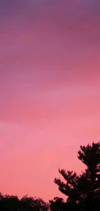 This phone live wallpaper showcases an airplane soaring through the red and pink sunset sky with an aestheticist touch