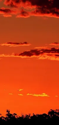 Orange Cloud Sky Live Wallpaper