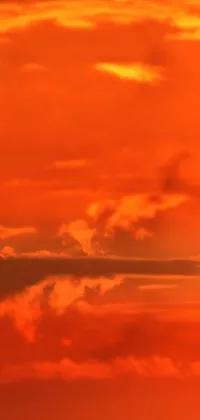 This breathtaking phone live wallpaper portrays a plane in flight during a sunset sky