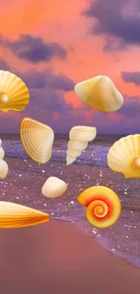 This phone live wallpaper showcases a stunning beach at sunset, featuring seashells hovering gently in the air