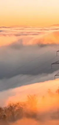 Decorate your phone screen with a stunning live wallpaper of a power line in a misty field
