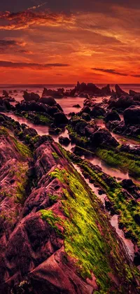 This live phone wallpaper captures a stunning sunset scene over a rocky beach