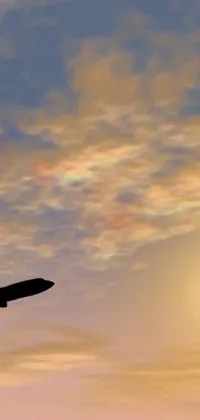This live wallpaper for your phone showcases a spectacular image of a large jetliner gliding through a cloudy sky with a beautiful backlight sunset in the background