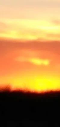 This live wallpaper boasts a stunning blurry photo of a sunset over a field captured by Linda Sutton