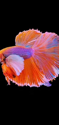 Orange Fin Fish Live Wallpaper