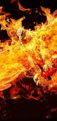 Orange Fire Flame Live Wallpaper