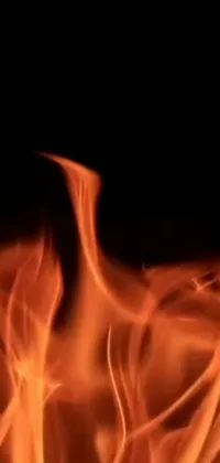 This live phone wallpaper, featuring a close-up of a blazing fire set against a black background, is a mesmerizing addition to your phone's home screen
