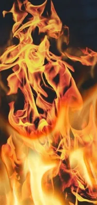 This live wallpaper is a stunning digital rendering of a fire on a black background