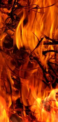 This phone live wallpaper features a close-up of a vibrant, burning fire captured in beautiful, baroque style