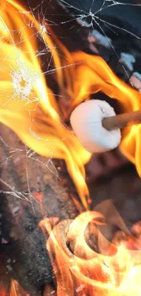 This charming phone live wallpaper showcases a scrumptious marshbeak roasting on a stick over an open fire