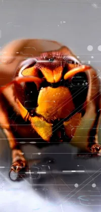 Looking for a unique dynamic phone wallpaper? Check out this stunning live wallpaper featuring the close-up of a wasp on metal surface