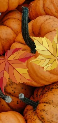This vibrant phone live wallpaper showcases a collection of small pumpkins with a green leaf on top, surrounded by stunning fall foliage in shades of red, orange, and yellow
