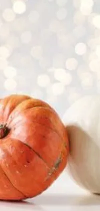 Orange Food Vegetable Live Wallpaper