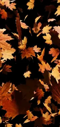 This phone live wallpaper features dozens of leaves, digitally rendered in a beautiful and natural display of the changing seasons