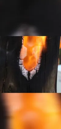 Orange Heat Gas Live Wallpaper