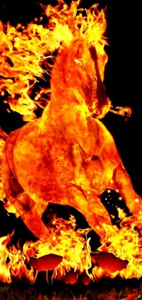 Orange Horse Flame Live Wallpaper
